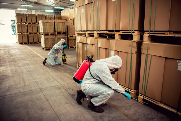 Wasp Removal Services in Freeport, IL