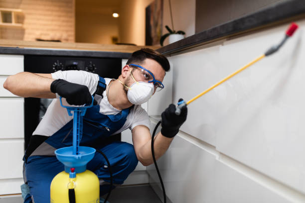 Best Commercial Pest Control Services  in Freeport, IL