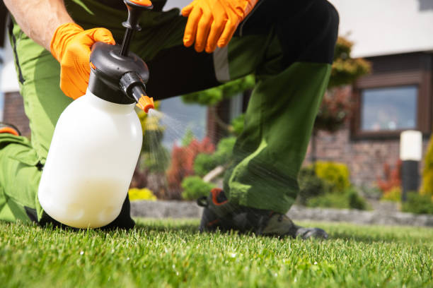 Best Pest Prevention Services  in Freeport, IL