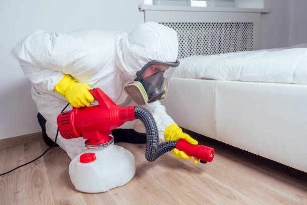 Best Pest Control for Businesses  in Freeport, IL