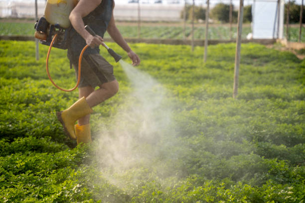 Best Pest Control for Homes  in Freeport, IL