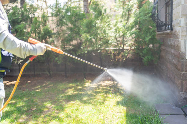 Best Exterminator Services  in Freeport, IL