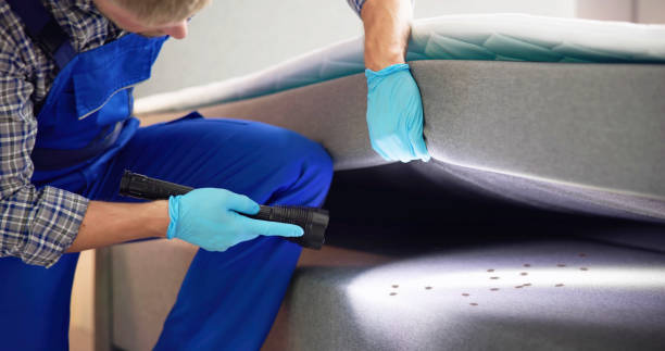 Best Wasp Removal Services  in Freeport, IL