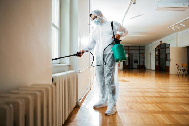 Best Mosquito Control Services  in Freeport, IL