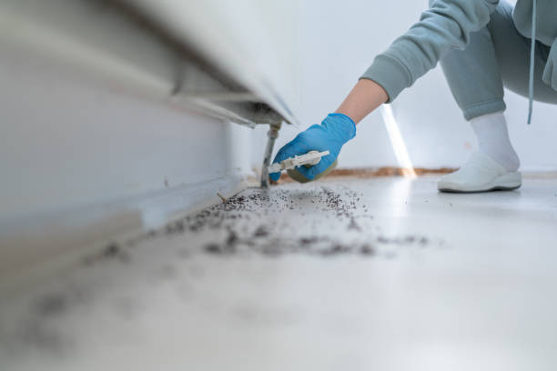 Best Pest Prevention Services  in Freeport, IL