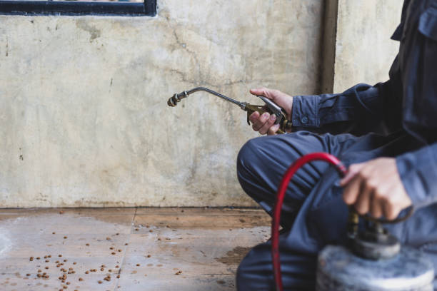 Best Ant Control Services  in Freeport, IL