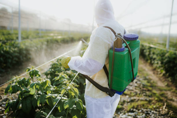 Pest Prevention Services in Freeport, IL